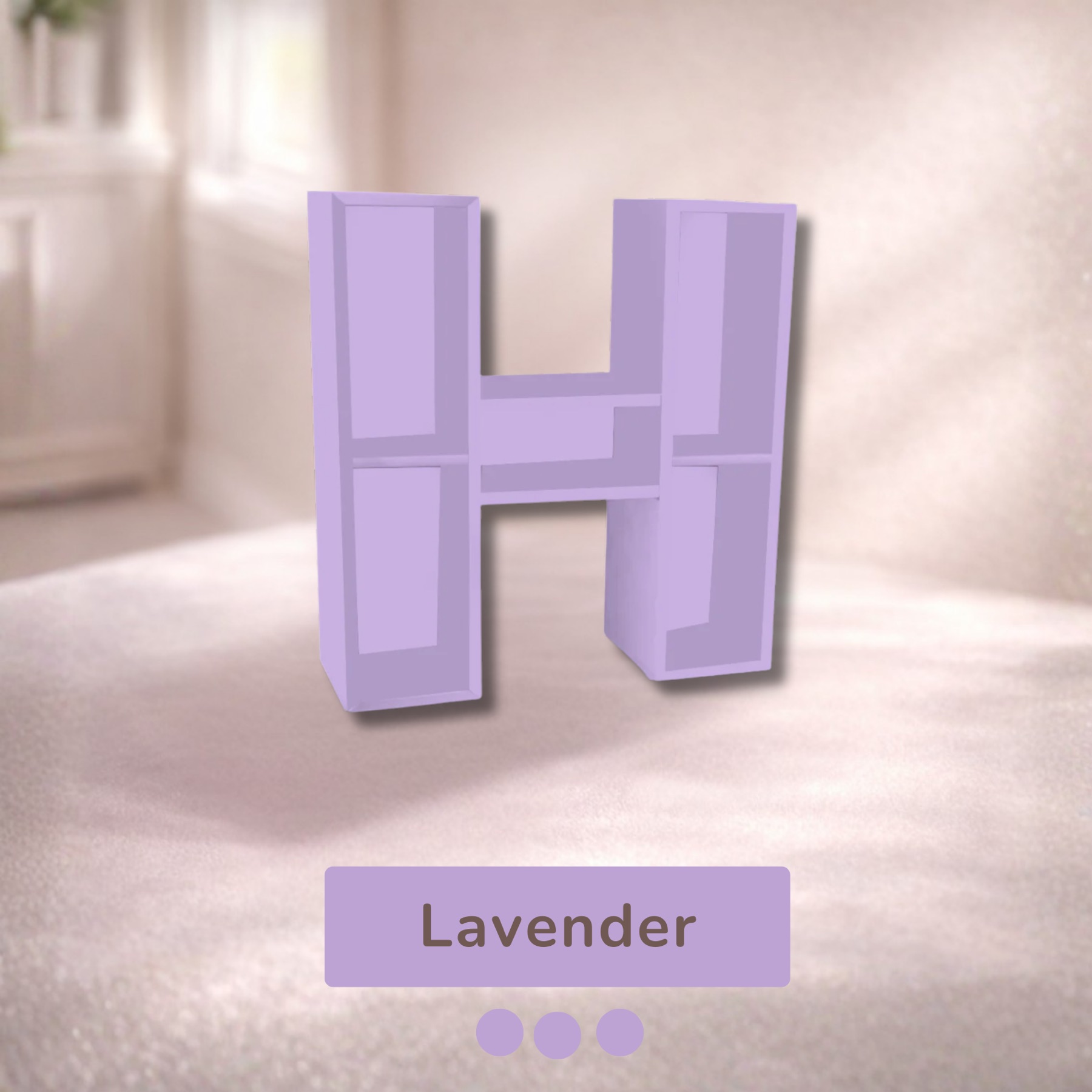 Alphabet Shelf – H — image 3
