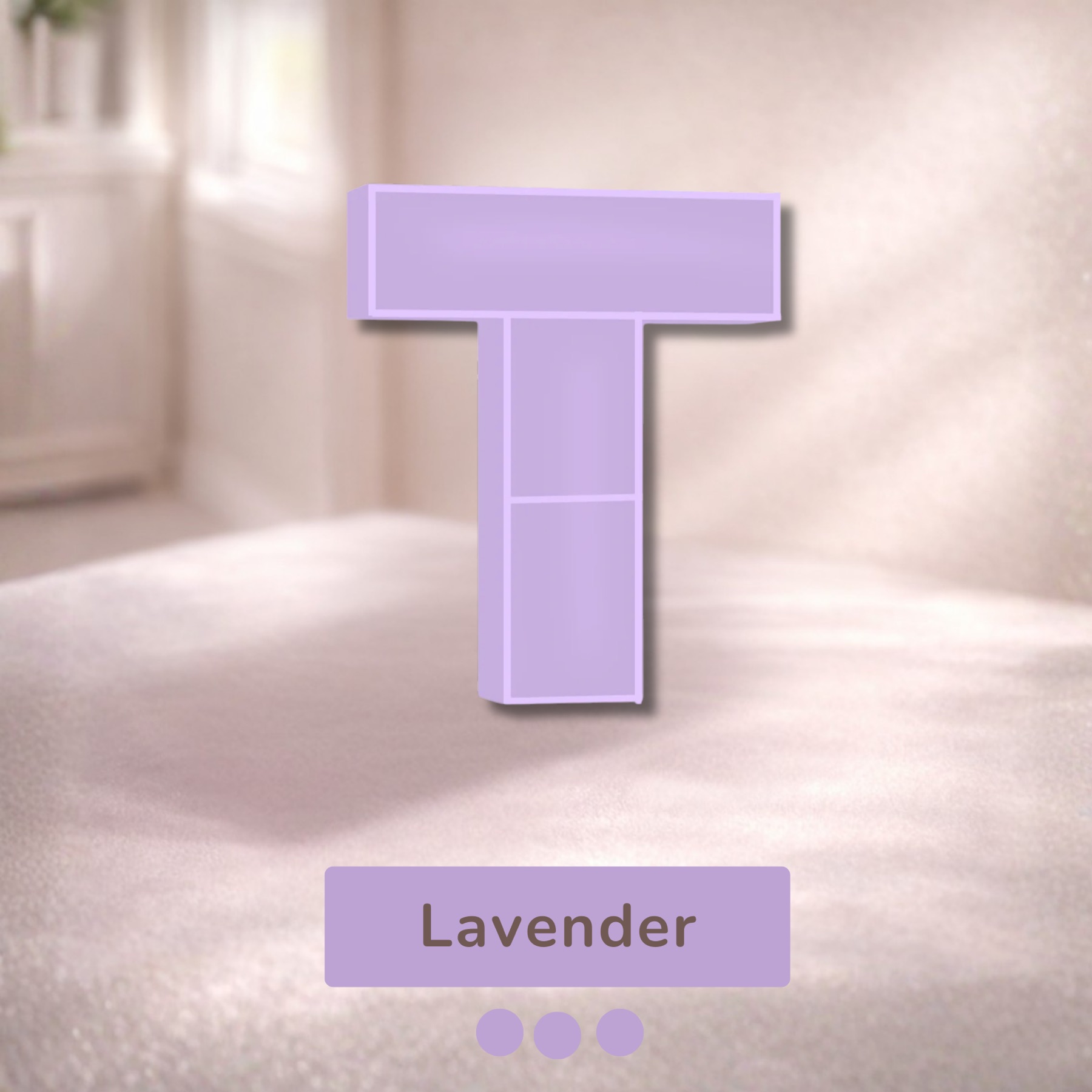 Alphabet Shelf – T — image 3