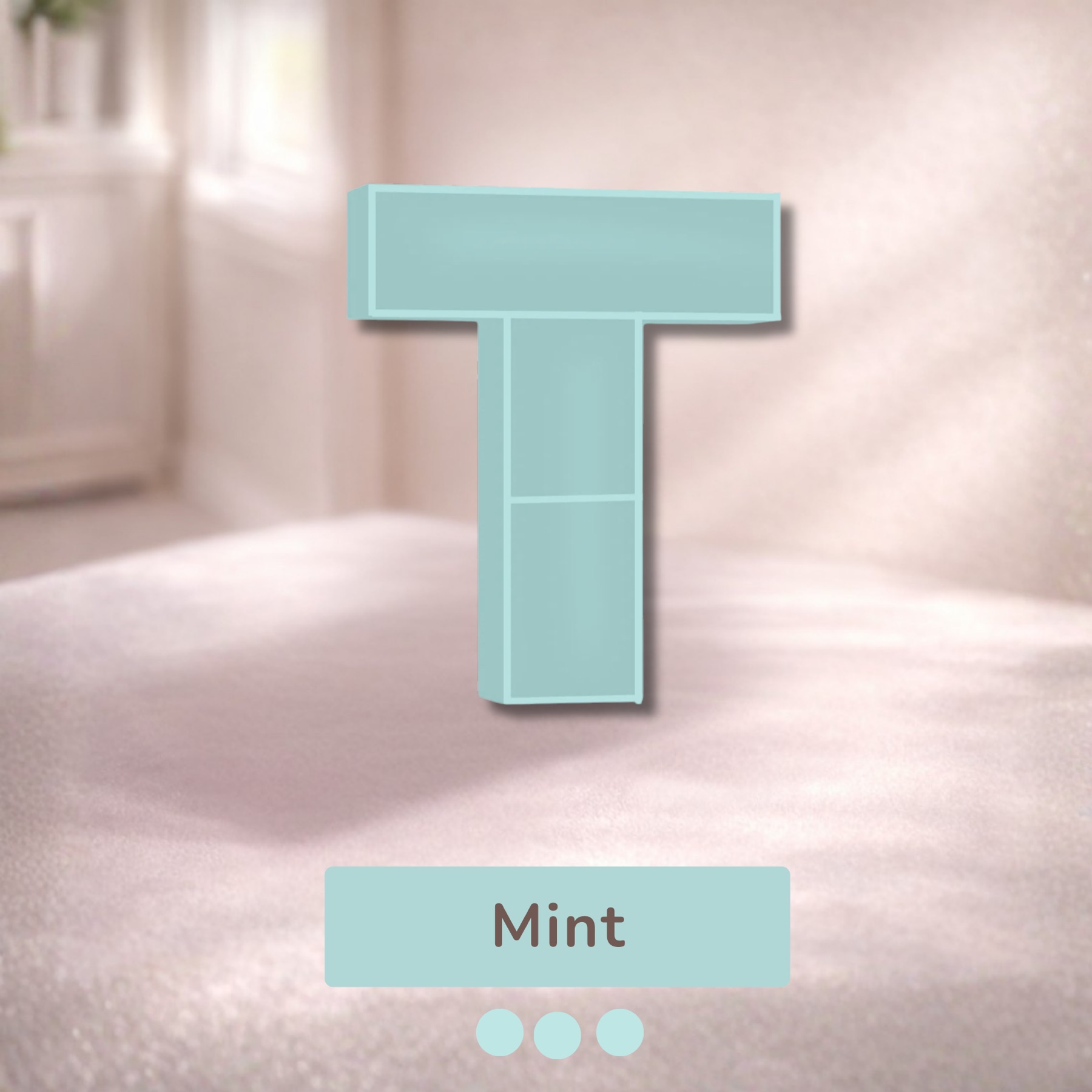 Alphabet Shelf – T — image 8
