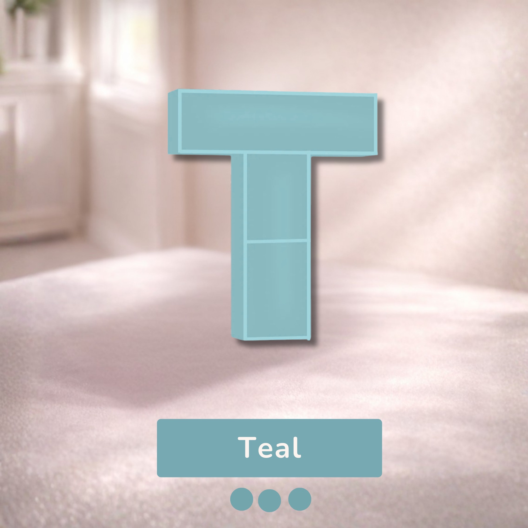 Alphabet Shelf – T — image 9