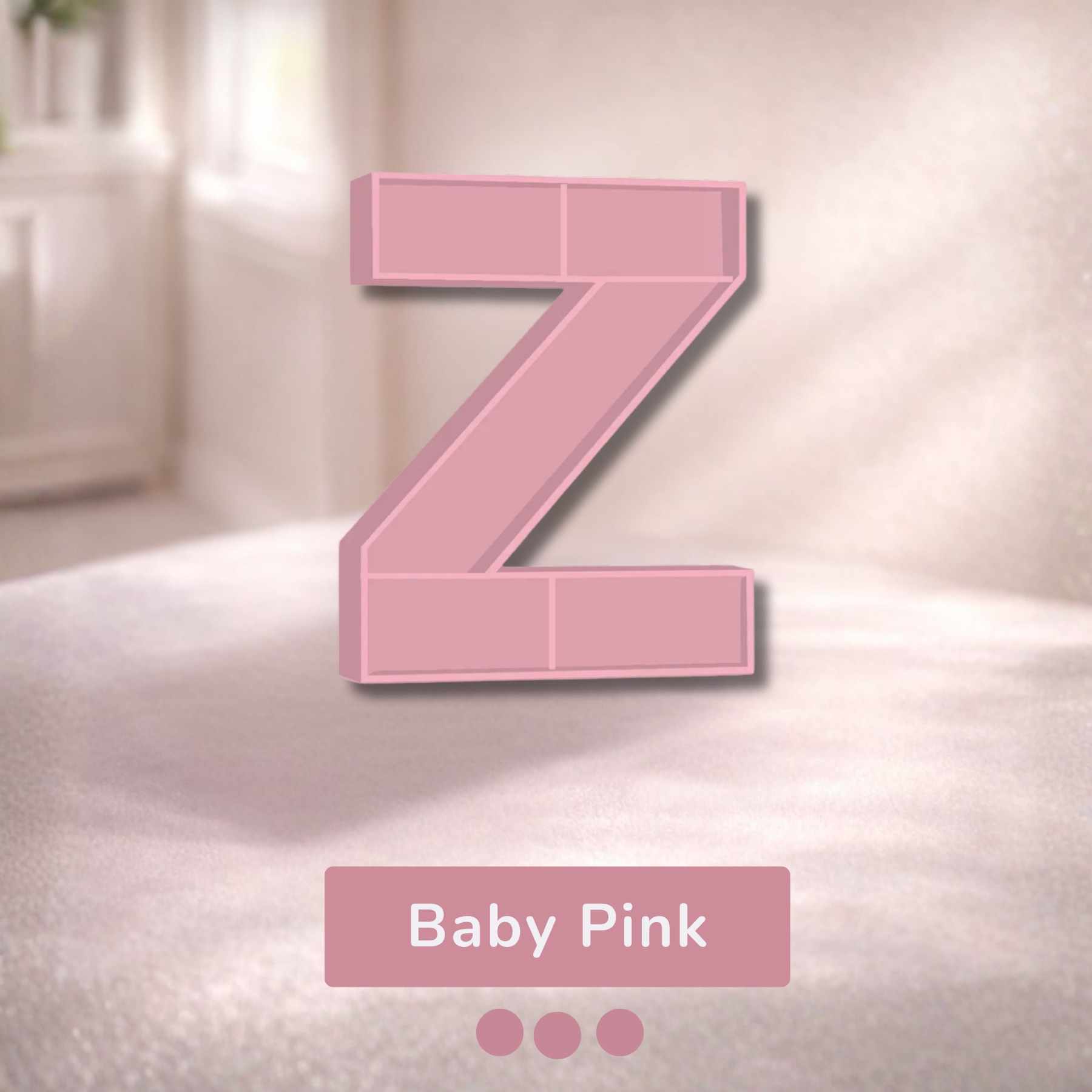 Alphabet Shelf – Z — image 10