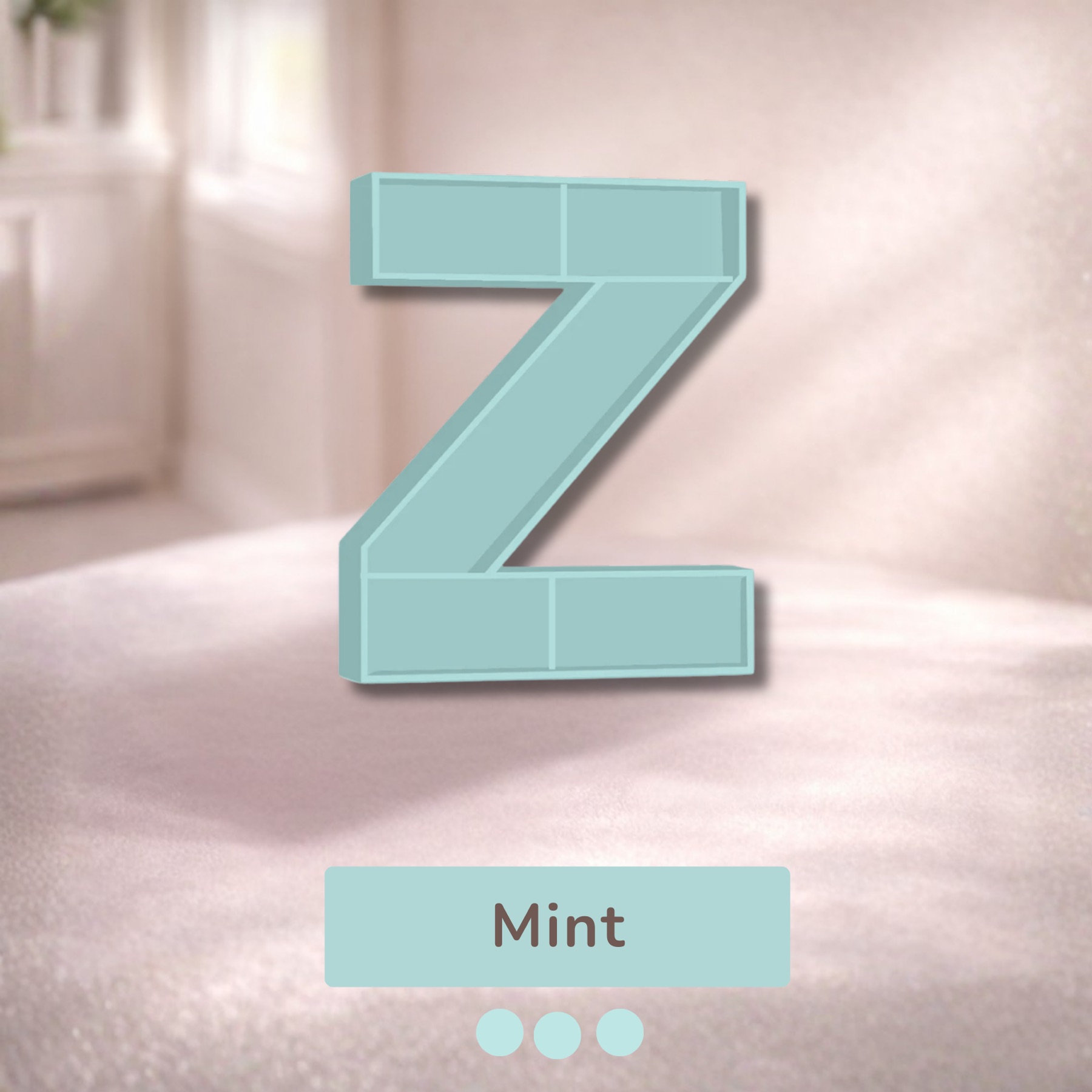 Alphabet Shelf – Z — image 8
